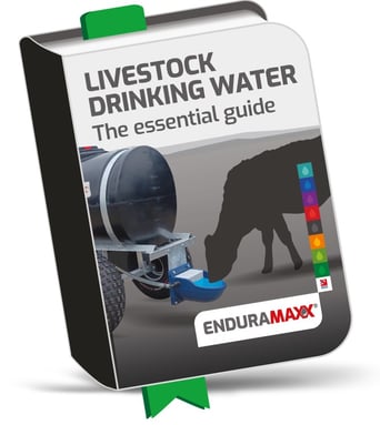 livestock drinking for web